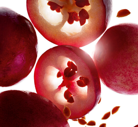 Cranberry-Organic cranberry oil-Vaccinium macrocarpon (cranberry) seed oil