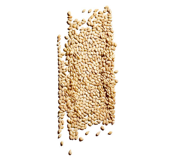 Sesame-Organic sesame oil-Sesamum indicum (sesame) seed oil