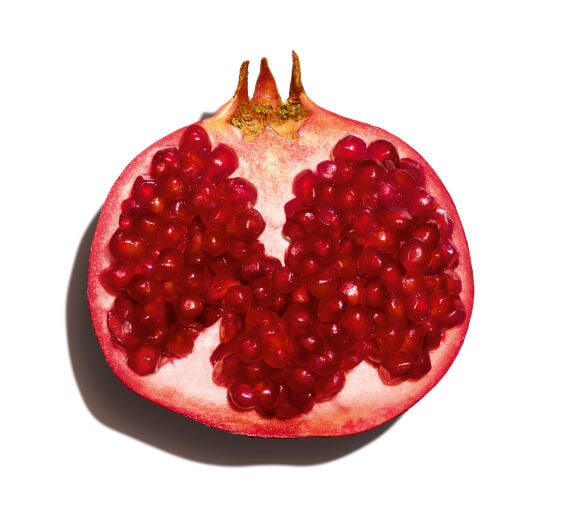 Pomegranate tree-Pomegranate extract (organic plant)-Cunica granatum bark extract
