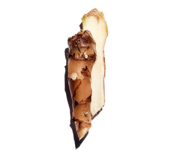 Ginger lily-Ginger lily extract (from an organic plant)-Hedychium coronarium root extract