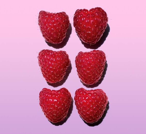 Raspberry bush-Organic raspberry water-Rubus idaeus (raspberry) fruit water