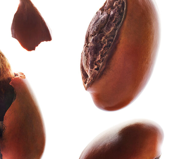 Shea tree-Shea unsaponifiable (from an organic plant)-Butyrospermum parkii (shea) butter