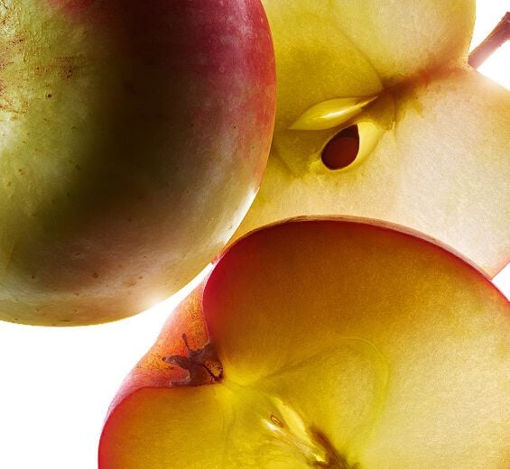 Apple tree-organic small apple extract-Malus Domestica Fruit Extract