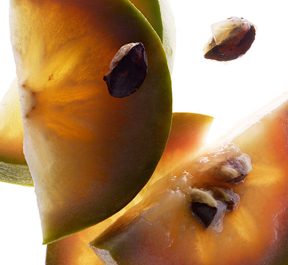 Vu sua-Vu sua extract-Chrysophyllum cainito fruit extract