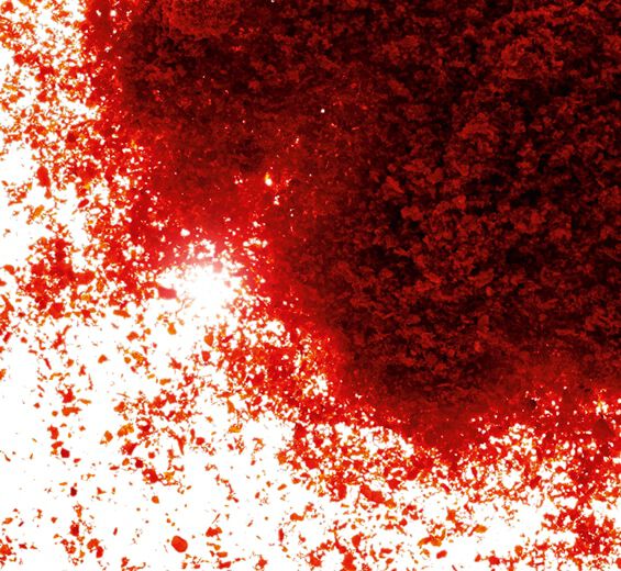 Paprika-Paprika extract-Capsicum annuum fruit extract Paprika-Paprika extract-Capsicum annuum fruit extract