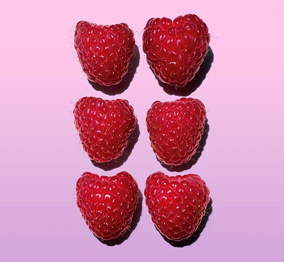 Raspberry bush-Raspberry oil-Rubus idaeus (raspberry) seed oil