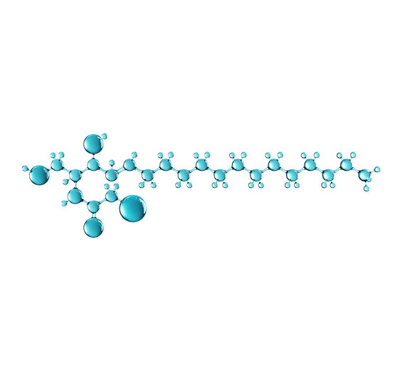 Ceramides