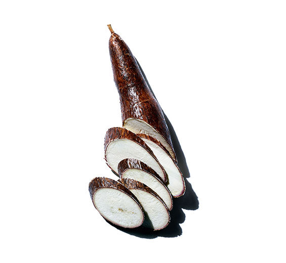Manioc-Organic manioc powder-Tapioca starch