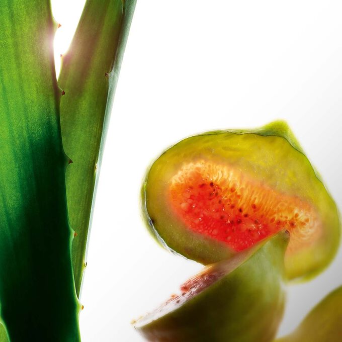 Hydrating Toner + Face Lotion for Normal + Dry Skin - Moisturizing Facial Toner + Lotion