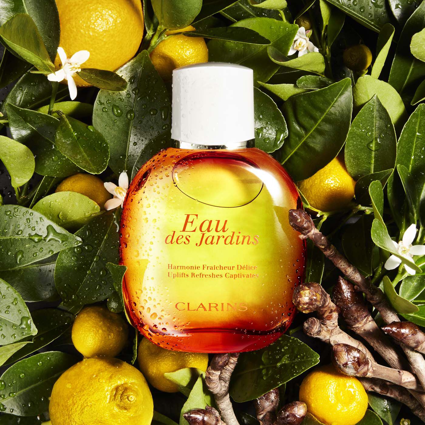 clarins eau des jardins spray