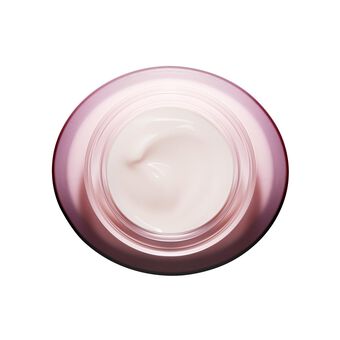 Multi-Active Day Cream-Gel - Normal to Combination Skin