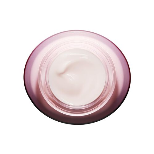 Multi-Active%20Day%20Cream-Gel%20-%20Normal%20to%20Combination%20Skin