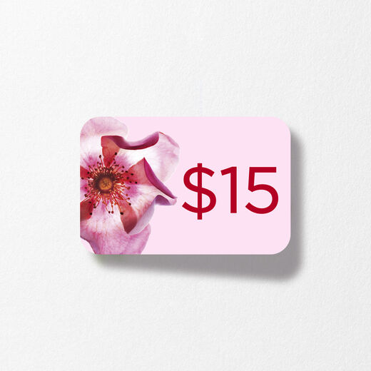 $15 Club Clarins Dollars