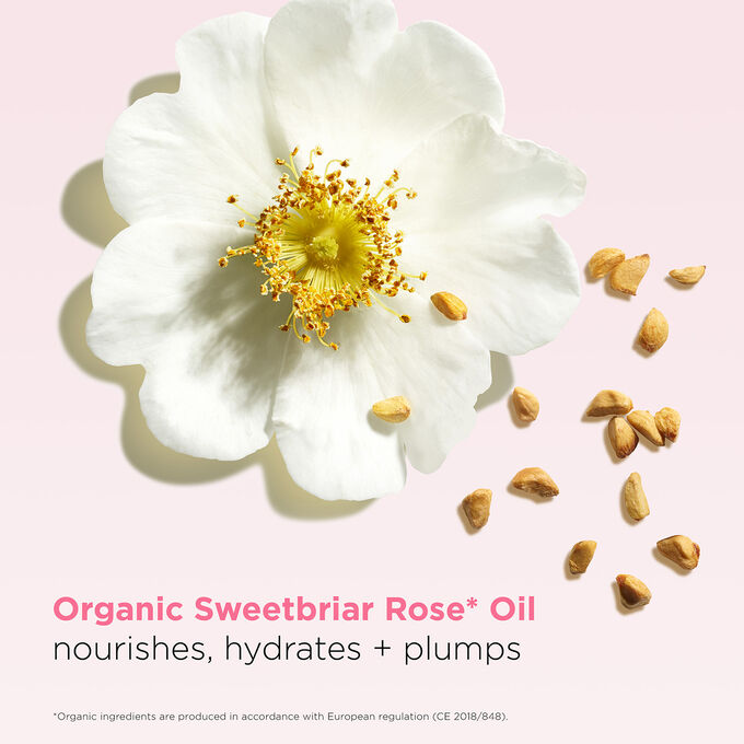 Lip Comfort Duo-Cherry