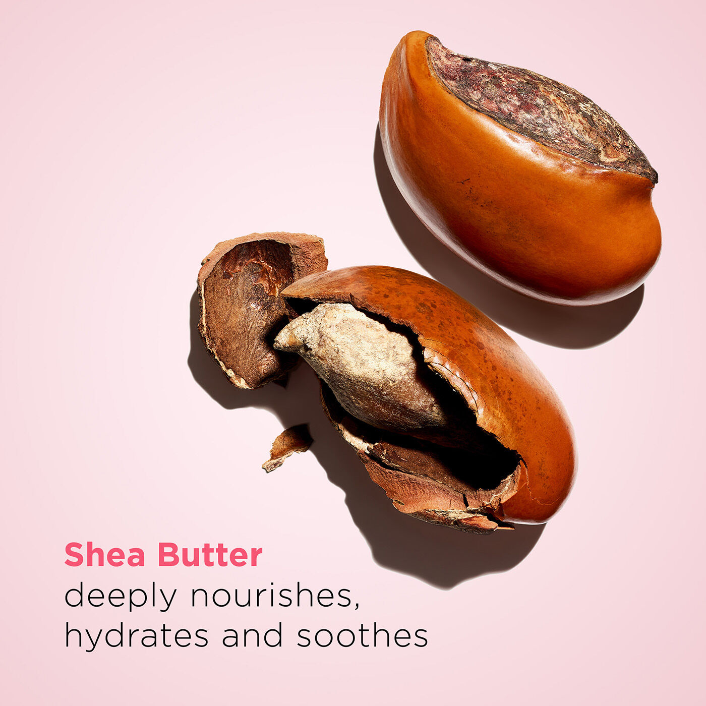 Amazon.com: Clarins Moisture-Rich Body Lotion | Intensely