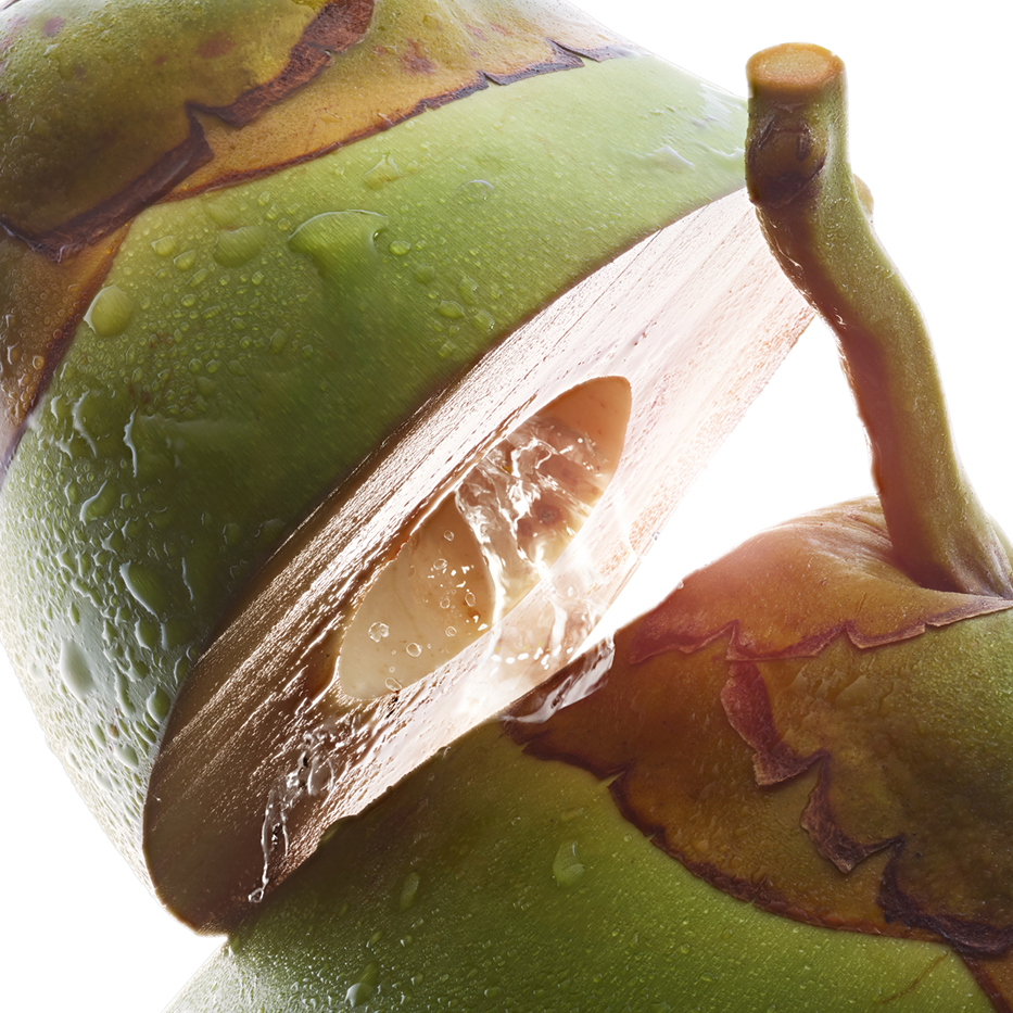 Coconut tree-Organic coconut water-Cocos nucifera (coconut) fruit juice