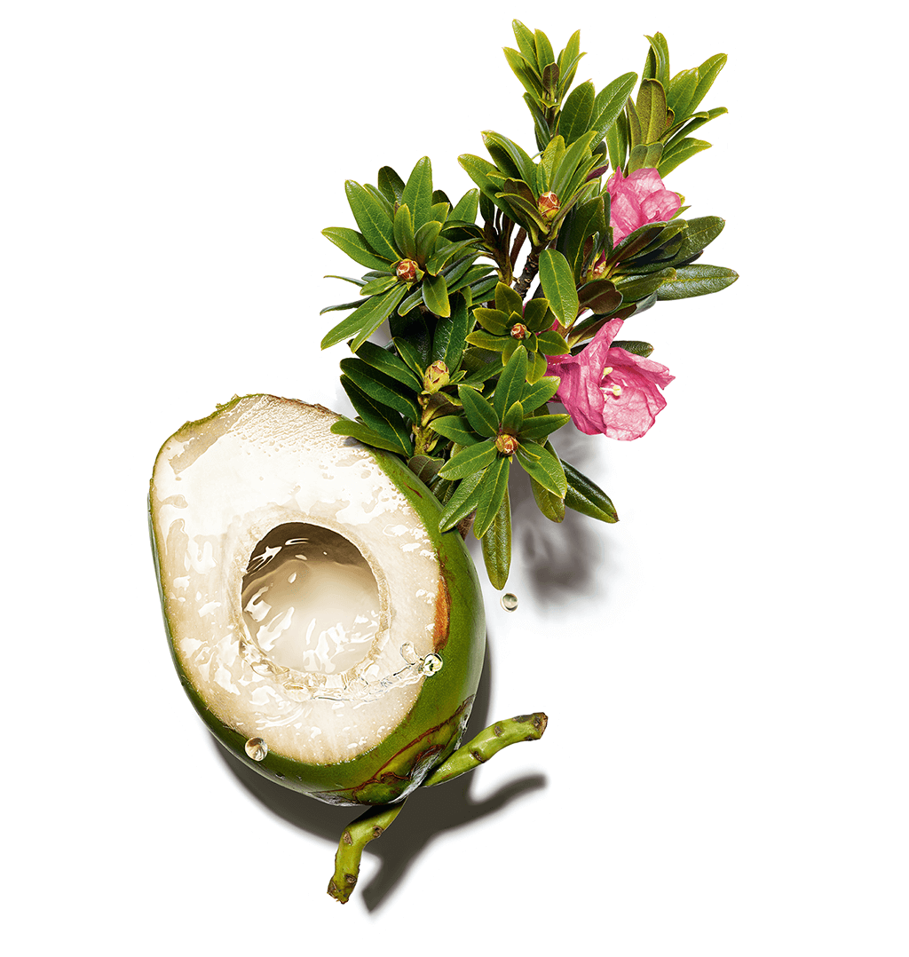 Agua de coco y extracto de reina de los Alpes