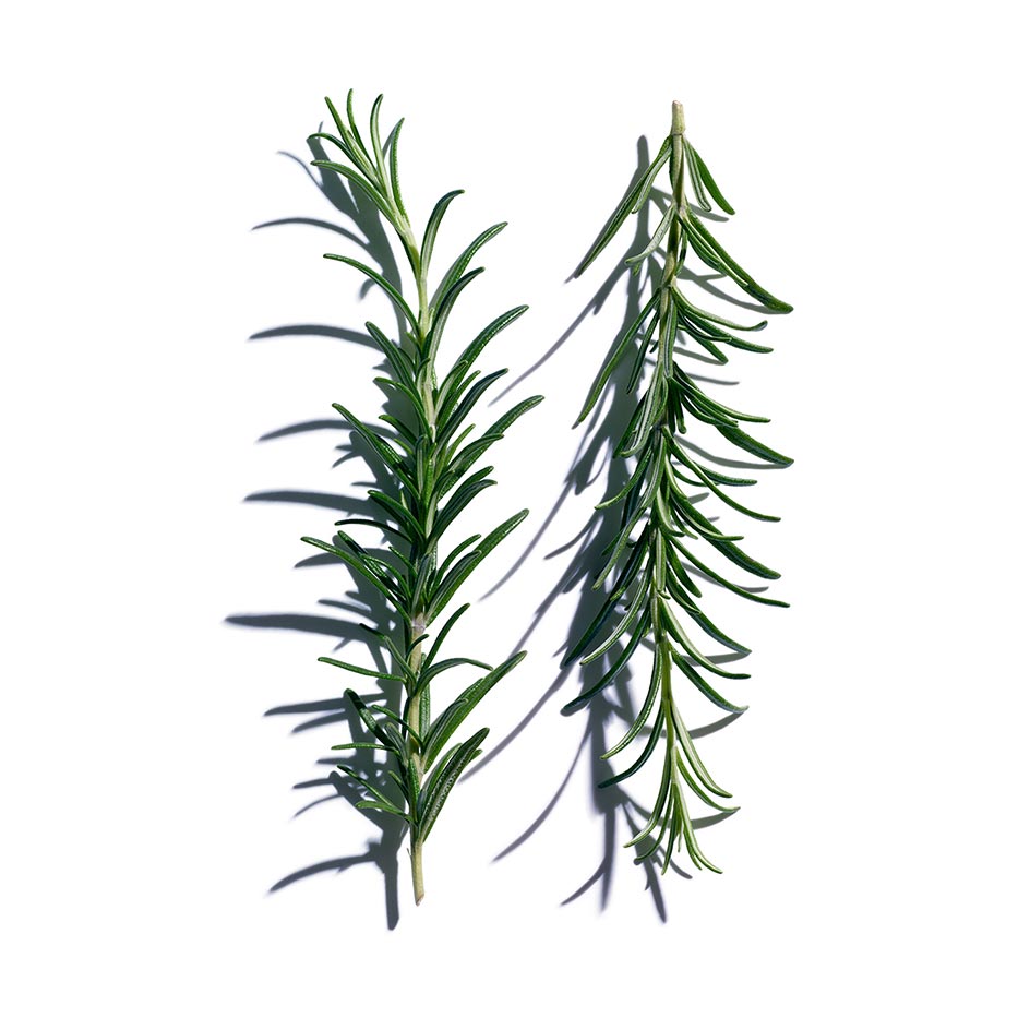 Rosemary