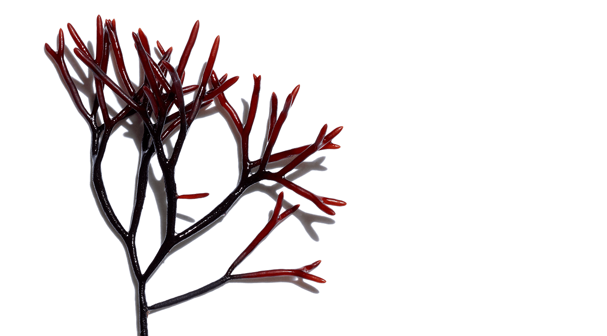 extra firming cream, best anti-aging cream - clarins