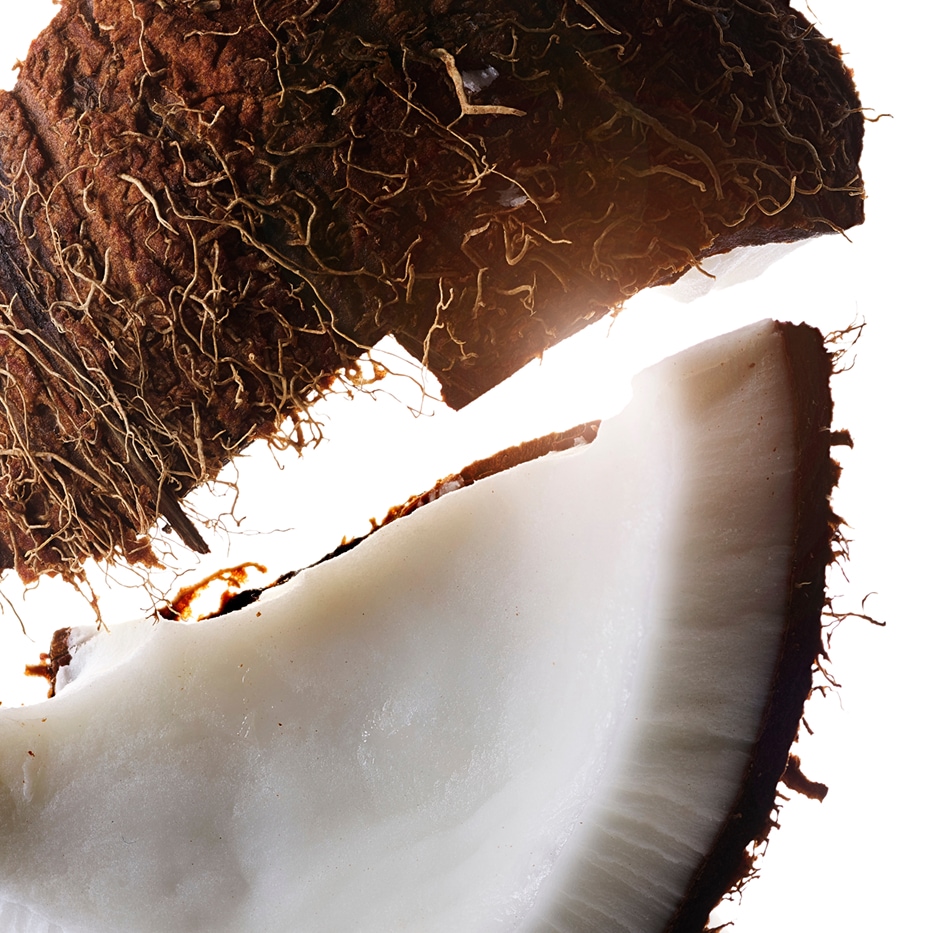Coconut tree-Coconut oil-Cocos nucifera (Coconut) oil