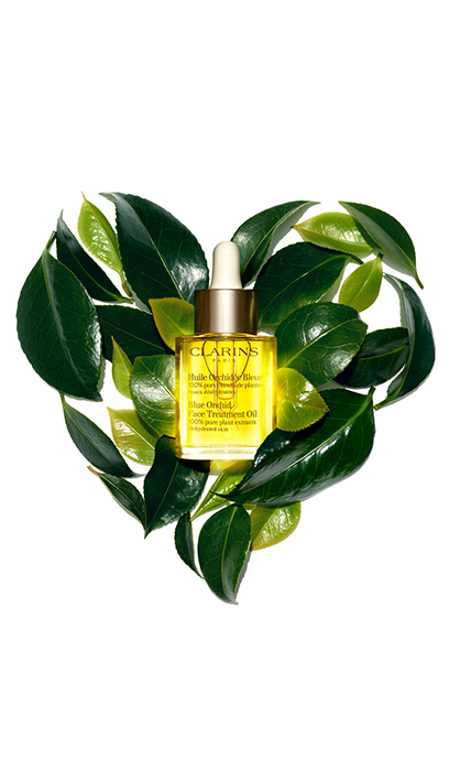 Clarins Passport to Beauty