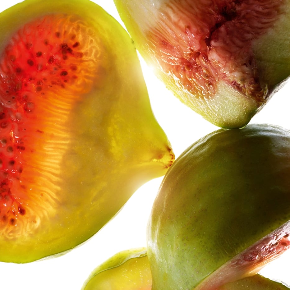 Fig tree-Fig extract-Ficus carica (fig) fruit extract