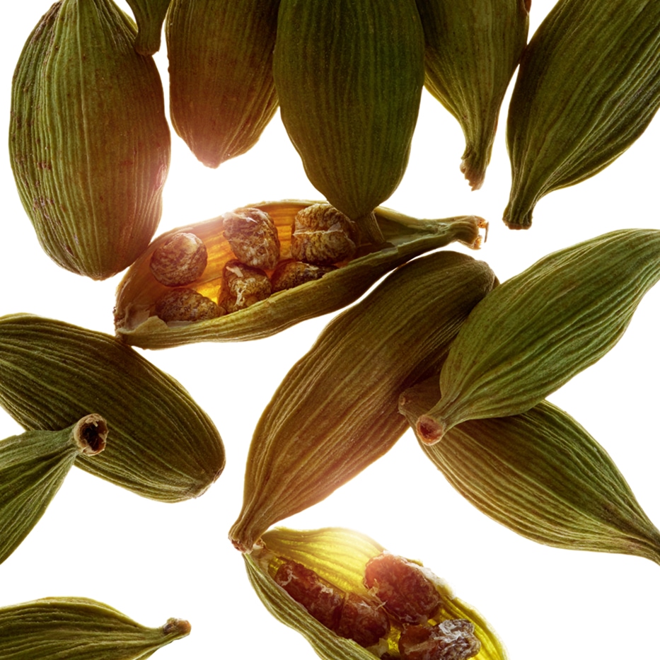 Cardamom-Cardamom essential oil-Elettaria cardamomum seed oil