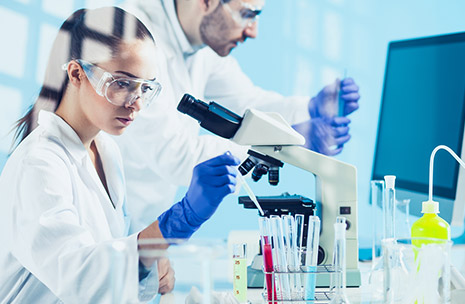 Scientists in a laboratory