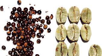 Organic guarana extract