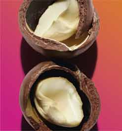 Macadamia orgánica