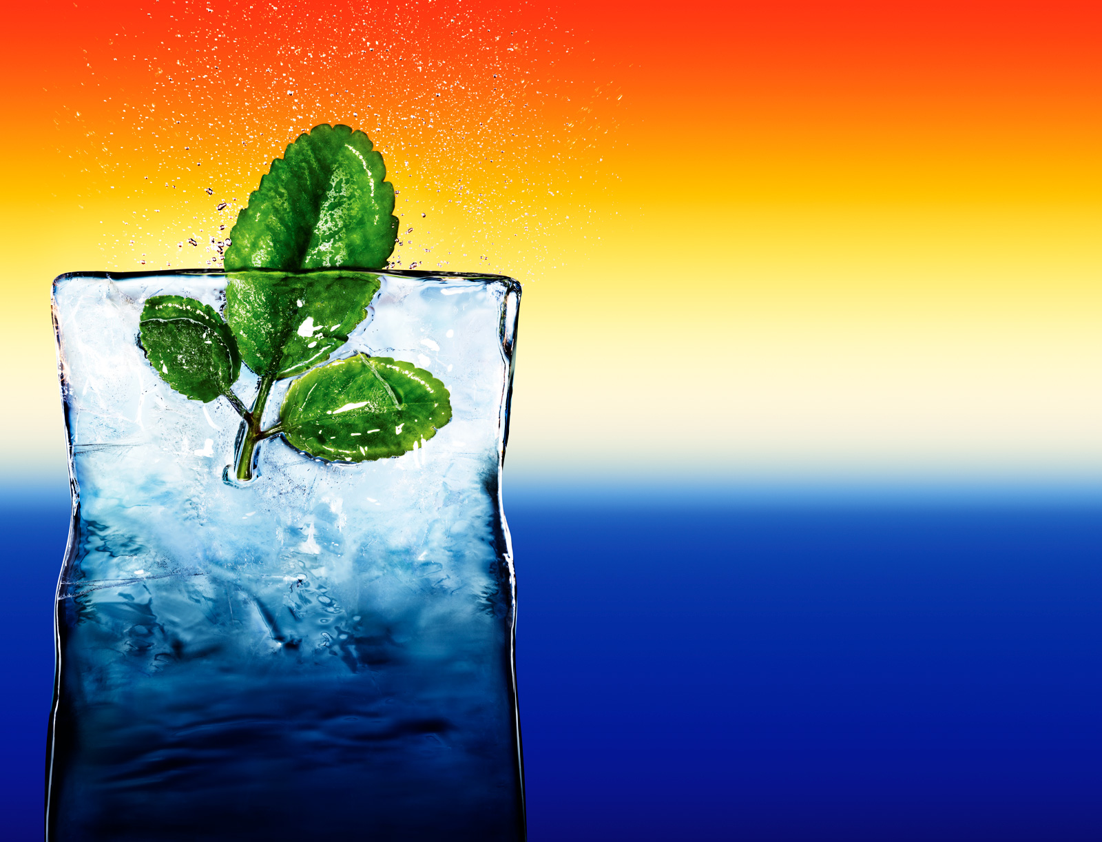 Organic Leaf of Life
