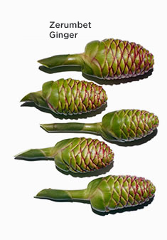 姜