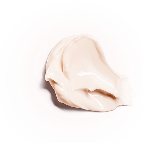 Mult-Active Day Face Cream for Dry Skin | Moisturizing Day