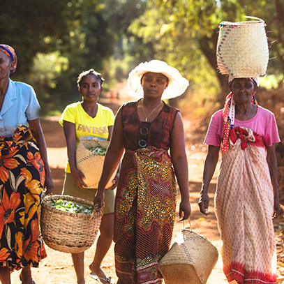 Visual of women picking plants