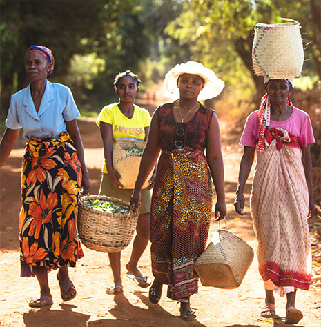 Women carrying baskets of plants in a local community where Clarins' sources raw ingredients