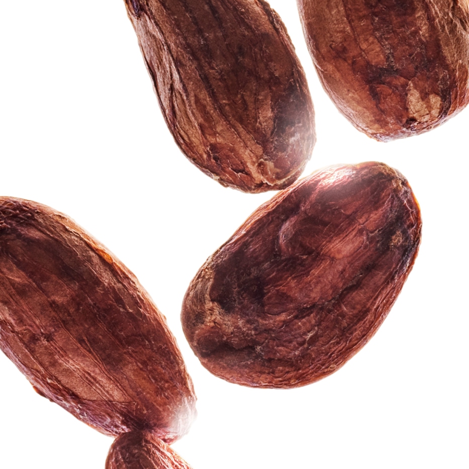 Cocoa tree-Organic cocoa butter-Theobroma cacao (cocoa) seed butter