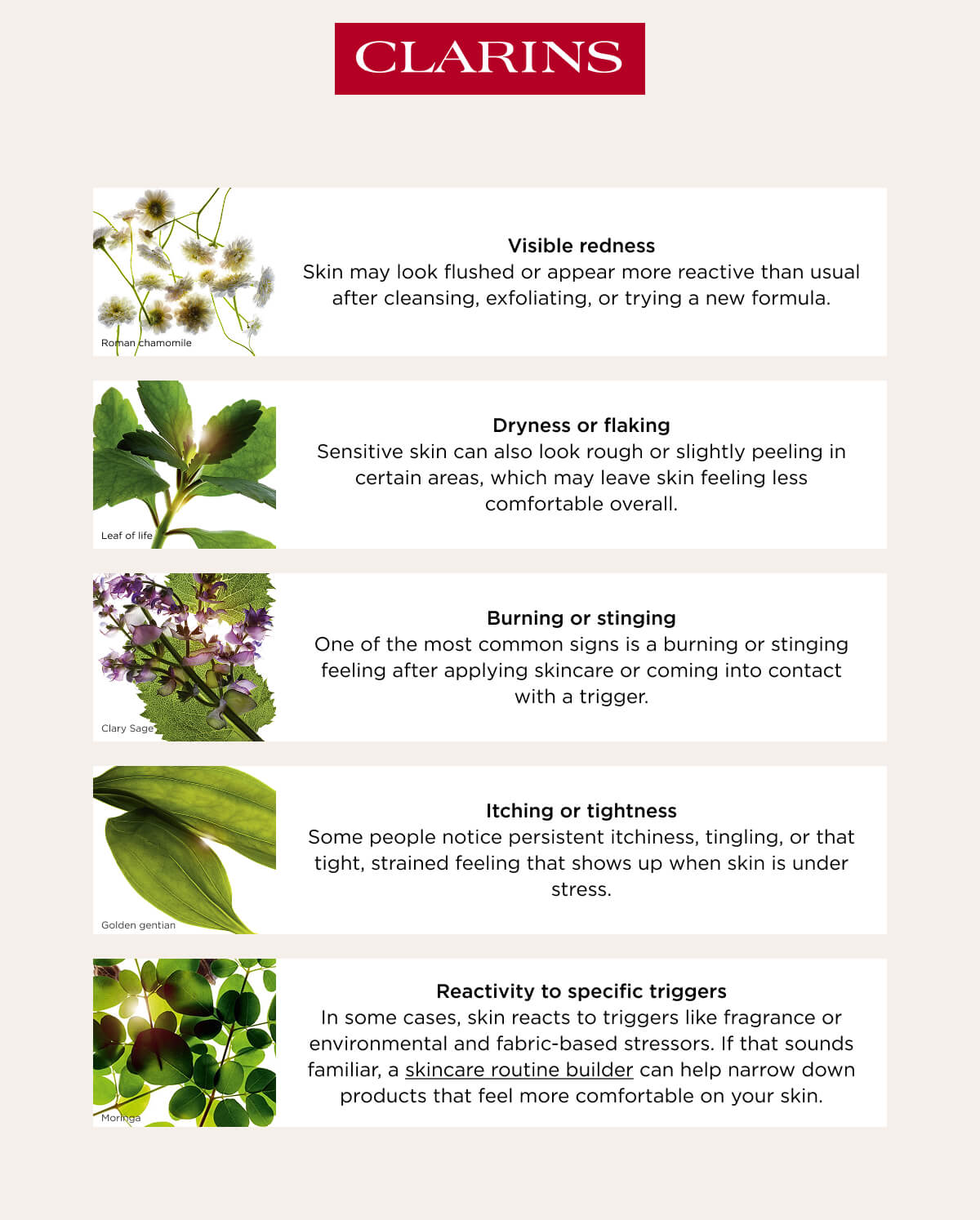 Ingredients Sensitive Skin