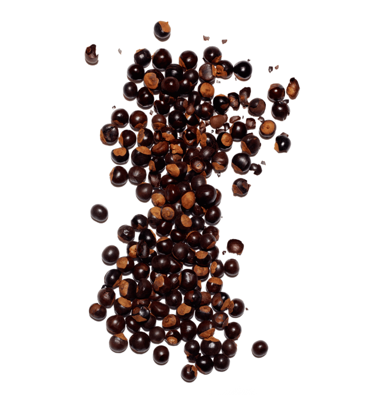 Guarana