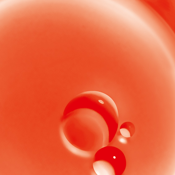 Aceite Labial Reconfortante