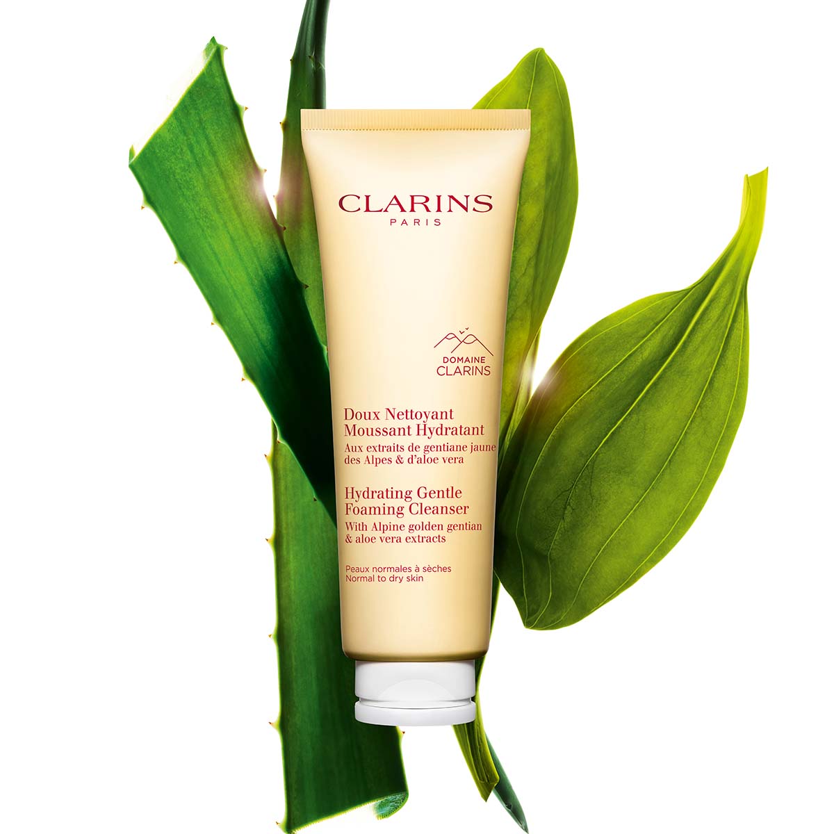 Hydrating Gentle Foaming Face Cleanser for Normal to Dry Skin | CLARINS®